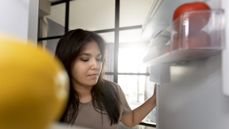 Pannes fréquentes des réfrigérateurs – identifier et remplacer les composants