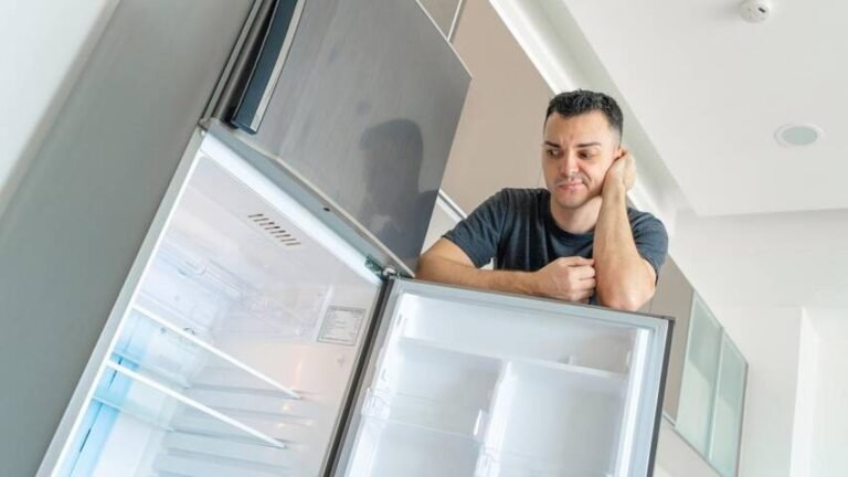 Quelle capacité de réfrigérateur ou de congélateur pour votre foyer ?